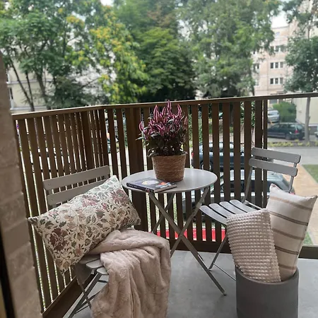 Junior Czysta Apartamento *