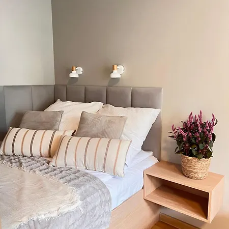 Junior Czysta Breslavia