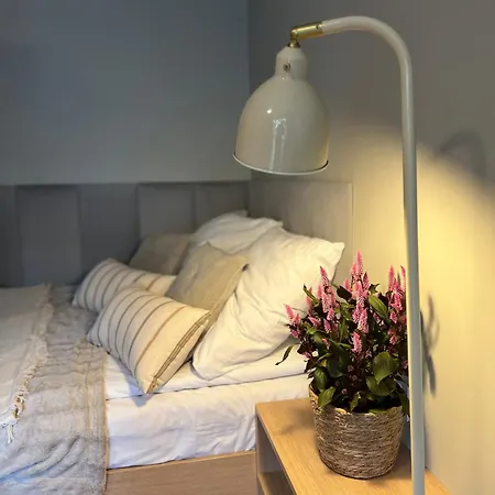 Junior Czysta * Breslavia