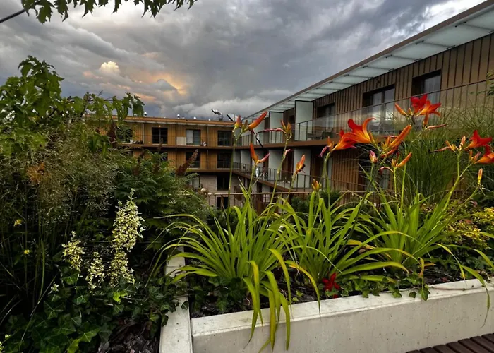 Junior Czysta Вроцлав