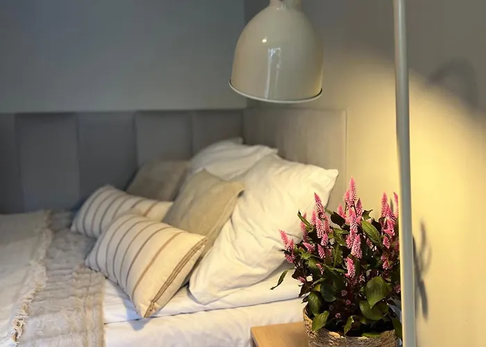 Junior Czysta * Вроцлав