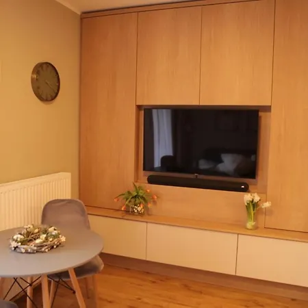 Apartment Junior Czysta *