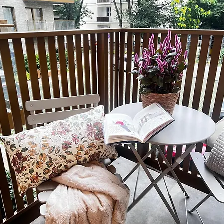 Junior Czysta * Βρότσλαβ