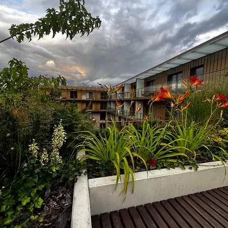 Junior Czysta Βρότσλαβ