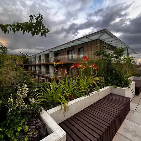 Junior Czysta Διαμέρισμα *