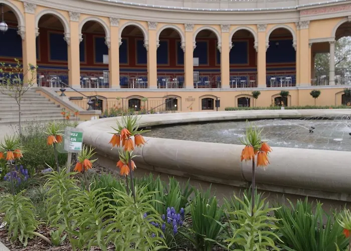 Junior Czysta דירה