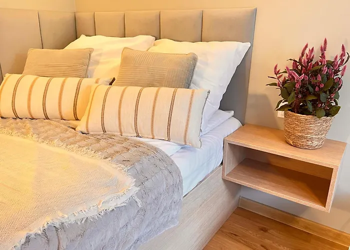 Junior Czysta Wrocław