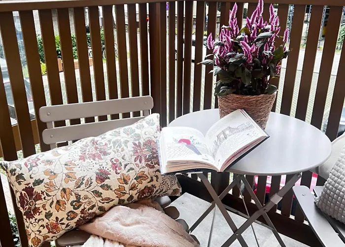 Junior Czysta * Wrocław