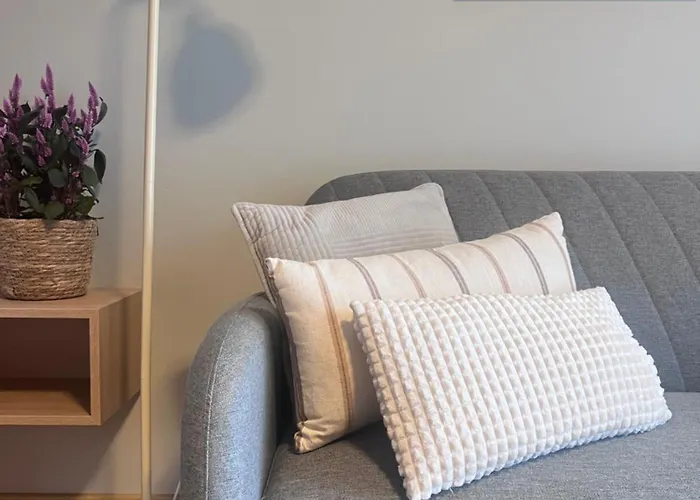 Apartman Junior Czysta