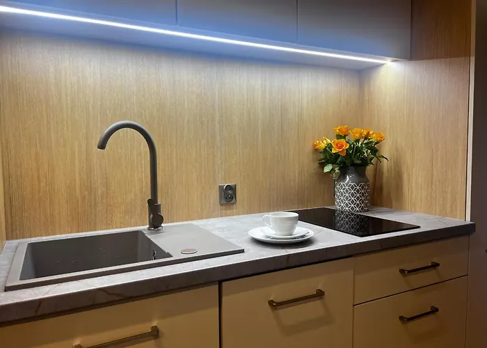 Junior Czysta * Wrocław