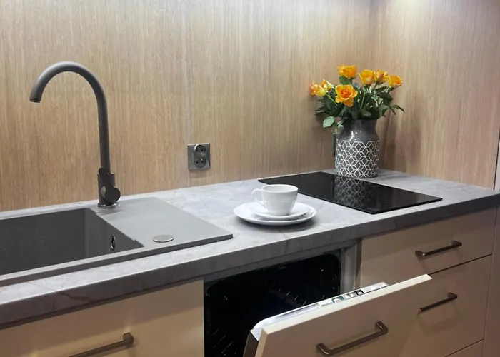 Apartman Junior Czysta