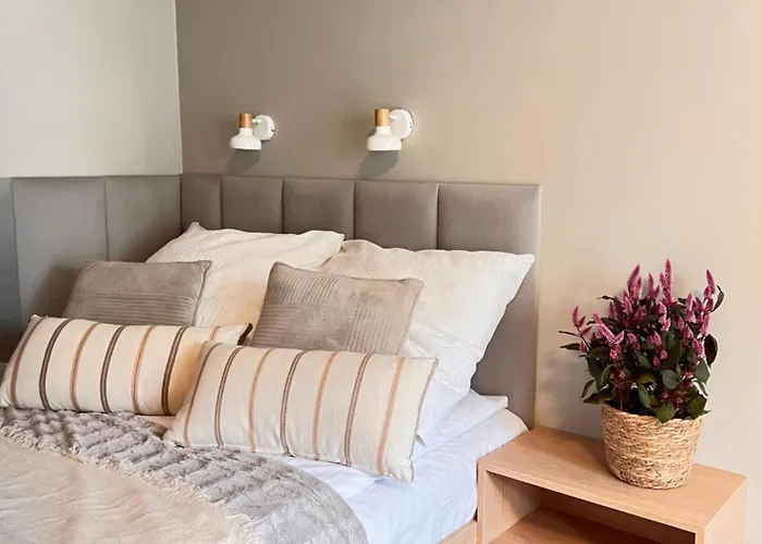 Junior Czysta Wrocław