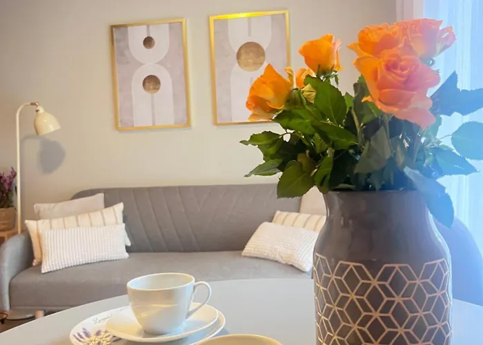 Junior Czysta Apartman