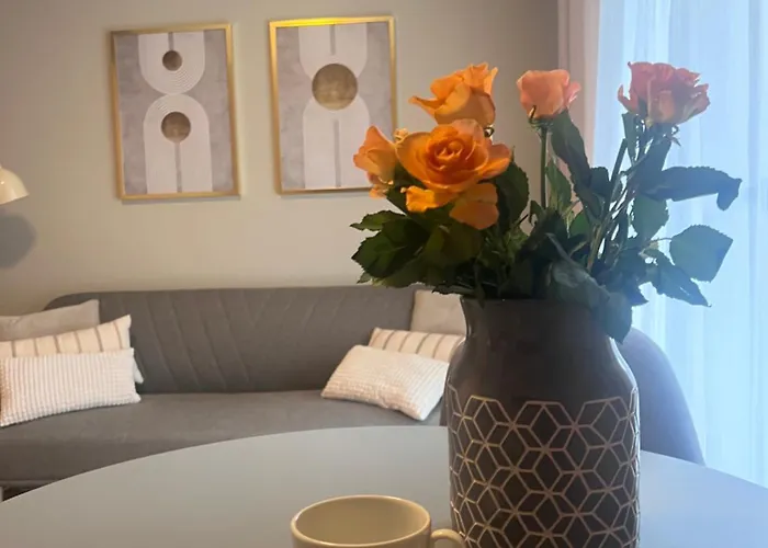 Junior Czysta Apartman Wrocław